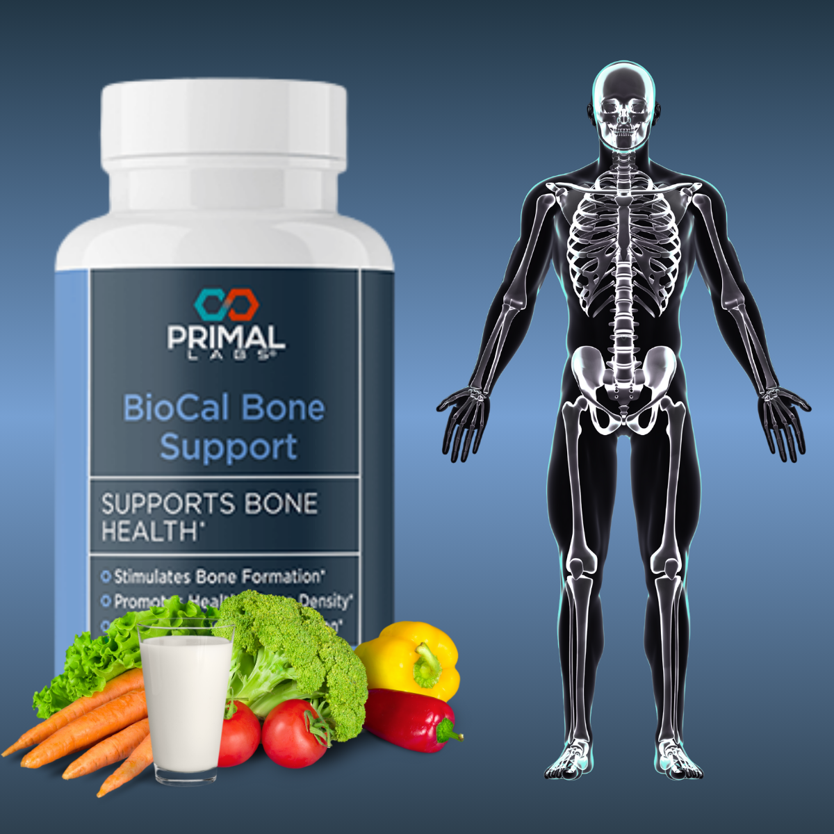 Healthy Routine Illustration